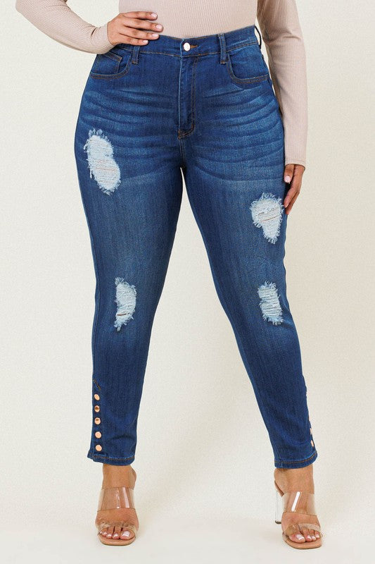 Plus Distressed Skinny